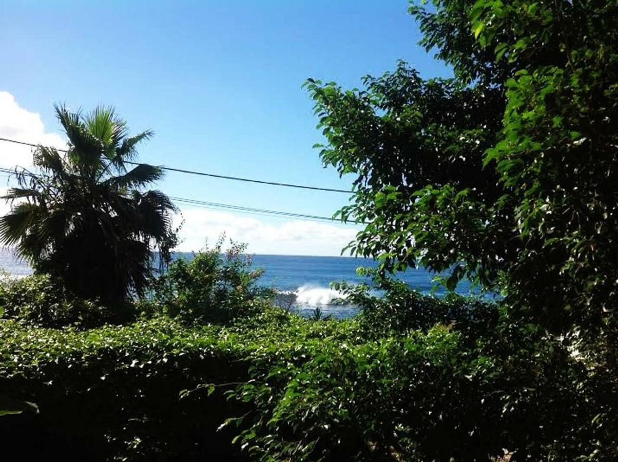 Charming 2Br Guest Suite With Ocean View Praia Bagian luar foto